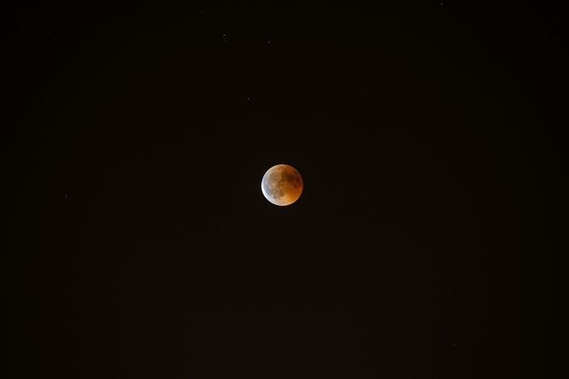 Eclipse T-Shirts